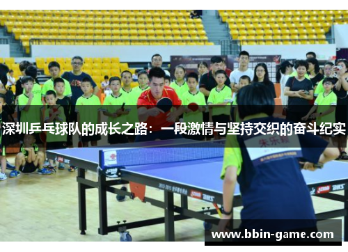 深圳乒乓球队的成长之路：一段激情与坚持交织的奋斗纪实